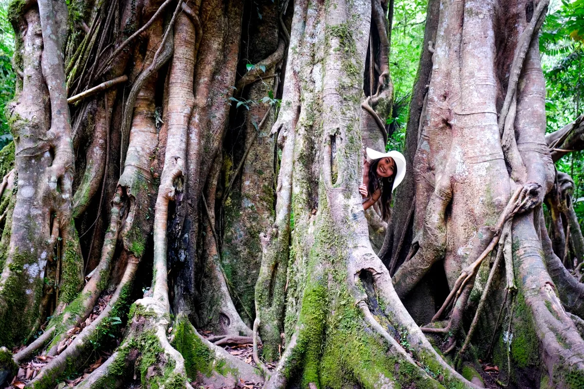 Best Things To Do In Munduk Bali: Hiking, Waterfalls, & More